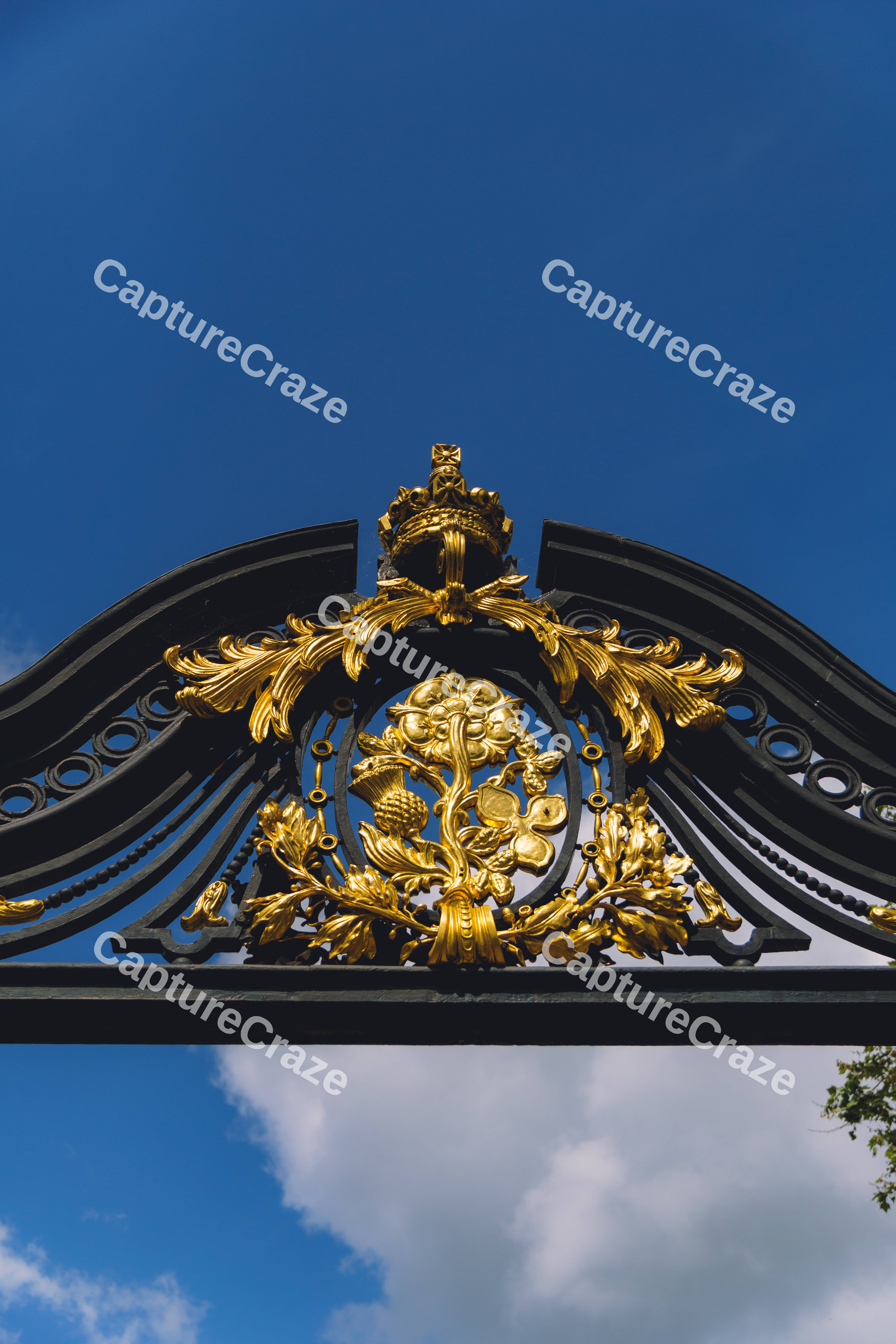 Royal Gold Gate Detail